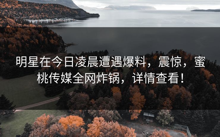 明星在今日凌晨遭遇爆料，震惊，蜜桃传媒全网炸锅，详情查看！