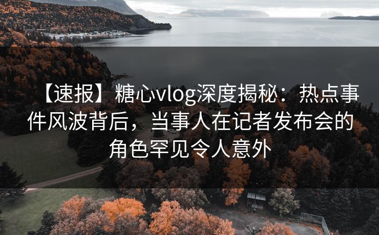【速报】糖心vlog深度揭秘：热点事件风波背后，当事人在记者发布会的角色罕见令人意外