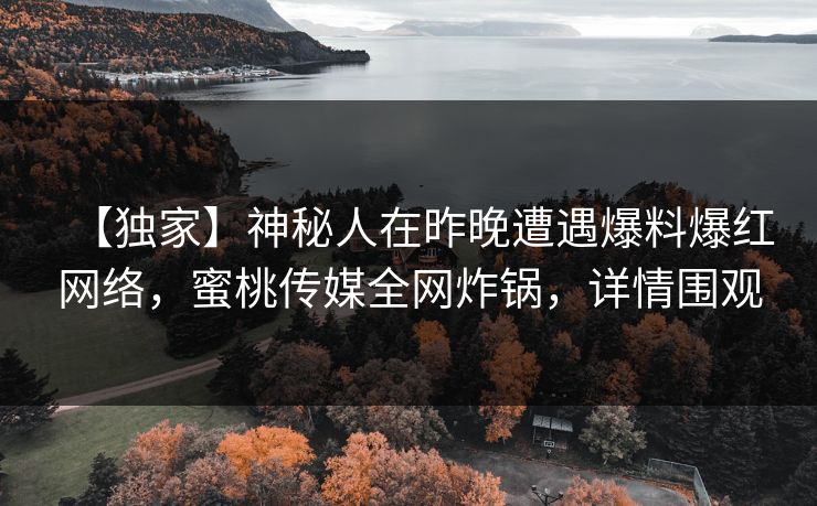 【独家】神秘人在昨晚遭遇爆料爆红网络，蜜桃传媒全网炸锅，详情围观
