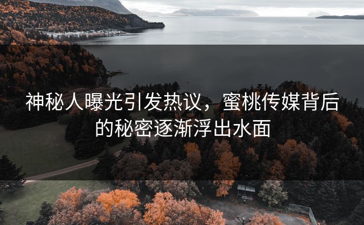 神秘人曝光引发热议，蜜桃传媒背后的秘密逐渐浮出水面
