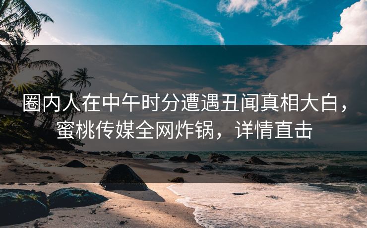 圈内人在中午时分遭遇丑闻真相大白，蜜桃传媒全网炸锅，详情直击
