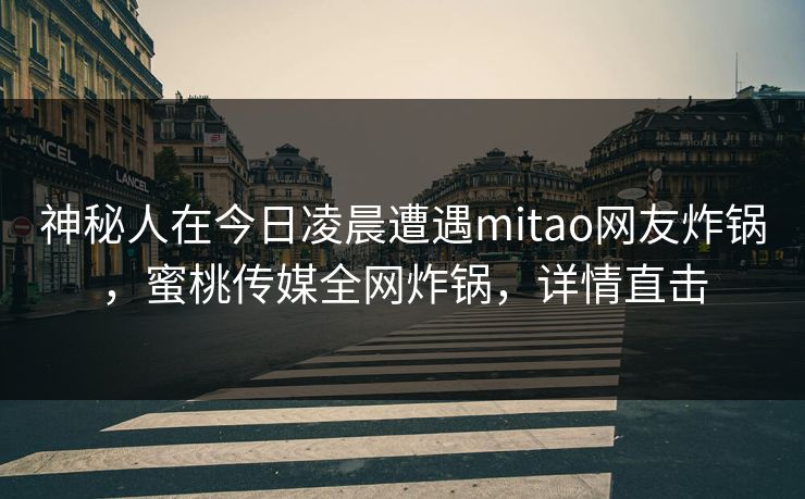 神秘人在今日凌晨遭遇mitao网友炸锅,蜜桃传媒全网炸锅,详情直击 神秘人在今日凌晨遭遇mitao网友炸锅,蜜桃传媒全网炸锅,详情直击