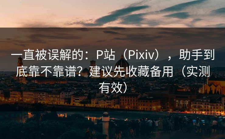 一直被误解的：P站（Pixiv），助手到底靠不靠谱？建议先收藏备用（实测有效）